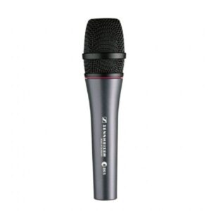Sennheiser E865 Supercardioid Condenser Microphone