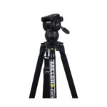 3712-CX2-solo-Q-2.jpg