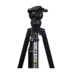 3746-CX8-2.jpg