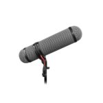 Rycote-Super-Blimp-NTG5.jpg