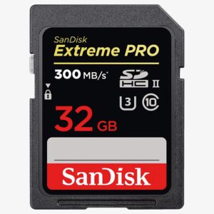 SanDisk 32GB 300MB/S - SDHC