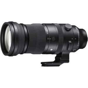 Sigma 150-600mm f/5-6.3 DG DN OS Sports - L Mount