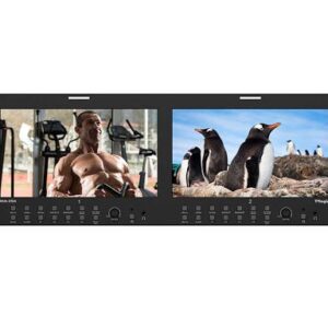 TVLogic RKM-290A TWIN 9IN HD Monitor