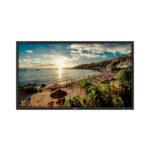 TVLogic-S-55P-55-FHD-Studio-Wall-Monitor-with-SFP-Module-Ember-Protocol.jpg