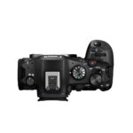 Canon EOS R6 Mark III + RF 24-105mm F4-7.1 IS STM_2