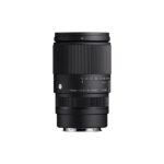 Sigma 16-300mm F3.5-6.7 DC OS Sony E_1